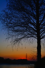 夕焼け