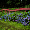 すべり台がある公園②