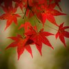 The end of autumn