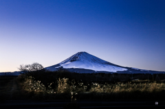 御殿からの富士山です。
