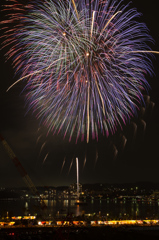 夜空の大輪