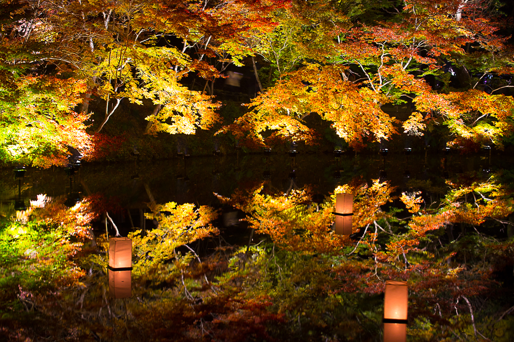鏡の中の景色