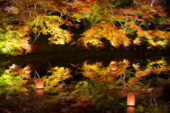 鏡の中の景色