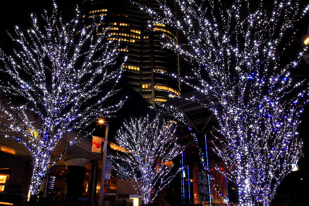 銀色のきらめき