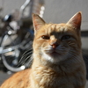 ドヤ顔