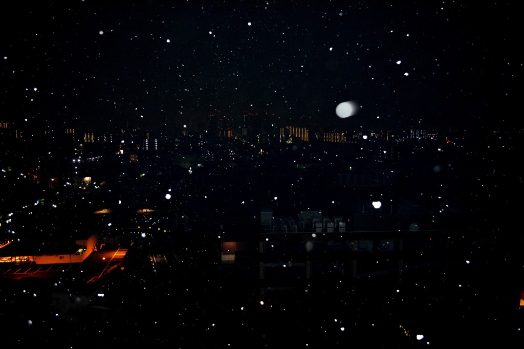 夜冬に咲く