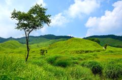 砥峰高原