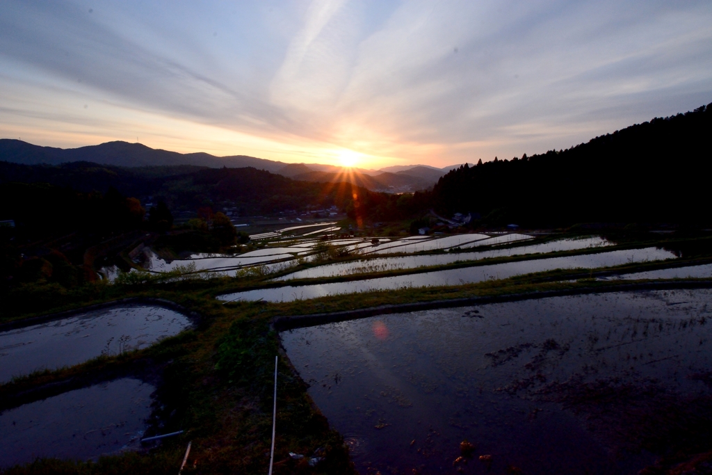 長谷の棚田2019 (5)