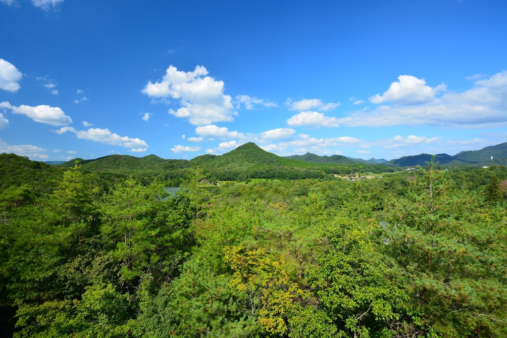 有馬富士公園201909