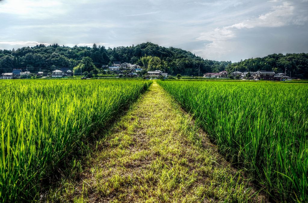 田 HDR