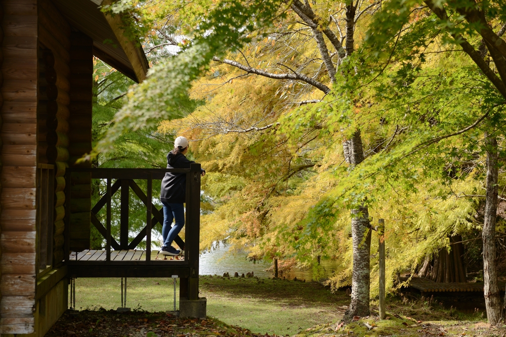 A Quiet Autumn Moment