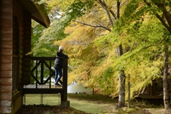 A Quiet Autumn Moment