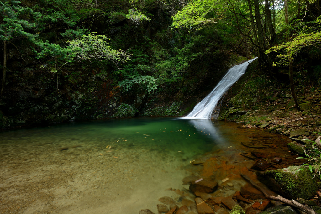 済浄坊の滝　上の滝