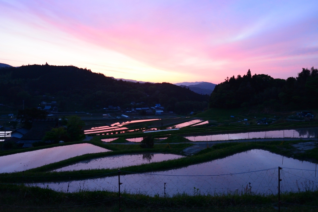 長谷の棚田2019 (2)