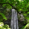 雲龍の滝 (2)