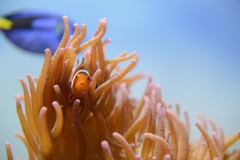 鳥羽水族館での一枚