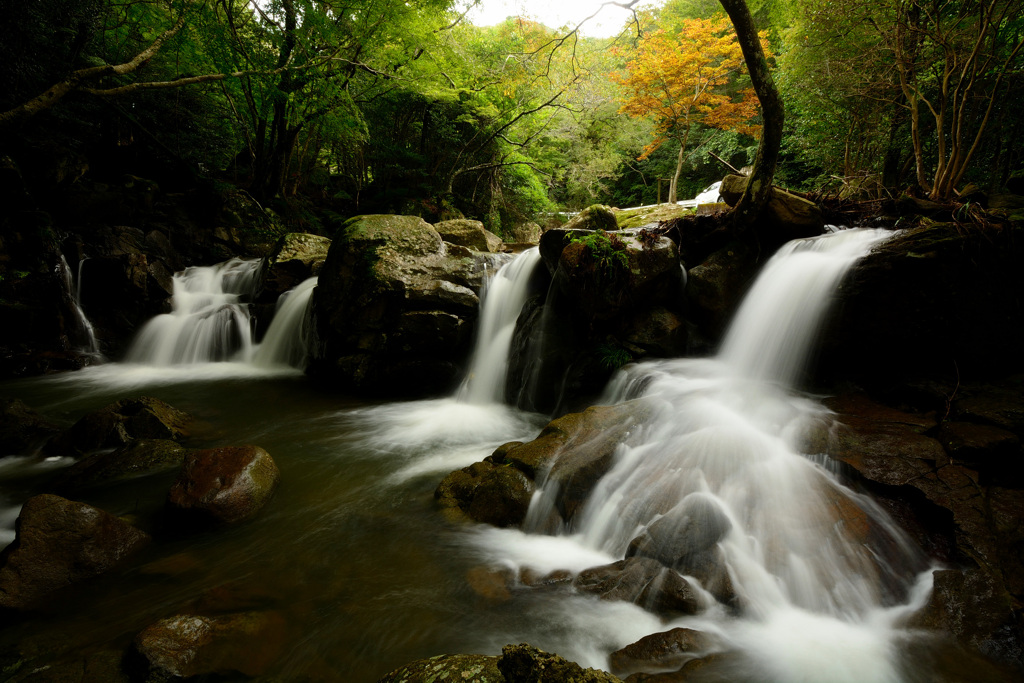 尼ん滝202009 (1)