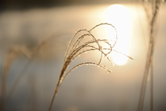 2026年千丈寺湖元旦 (6)