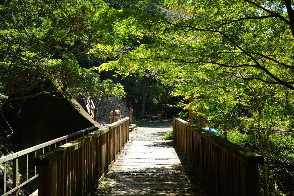 武田尾廃線敷 (1)