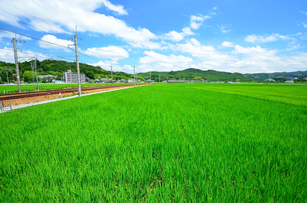 気持ちのいい景色
