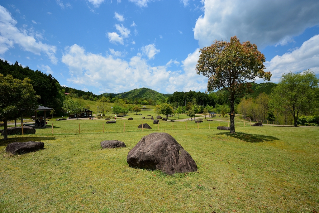 丹波並木道中央公園2021 (1)