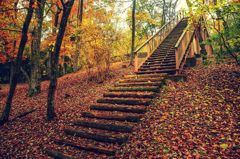 落ち葉と階段