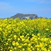 城山日出峰 (1)