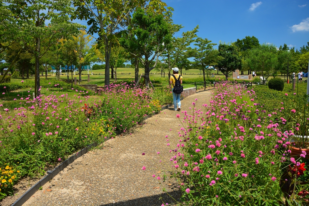 小野市立ひまわりの丘公園 (1)