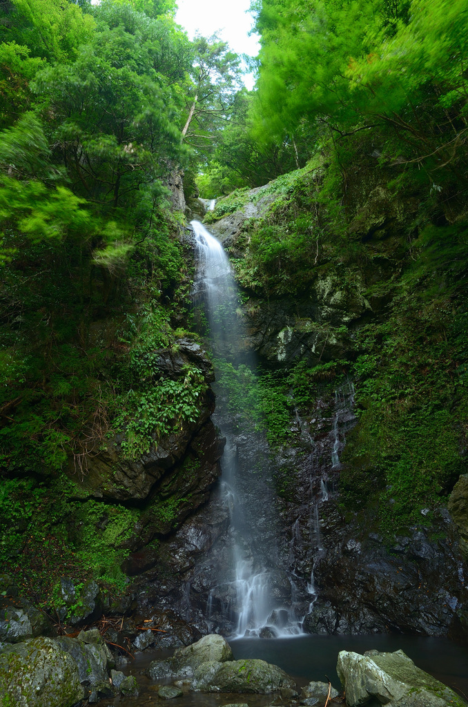 宮の滝（下段） (2)