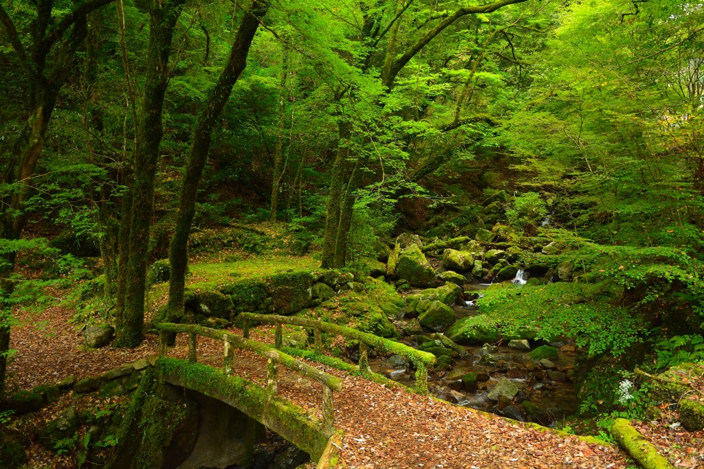 長沢の滝周辺 (1)