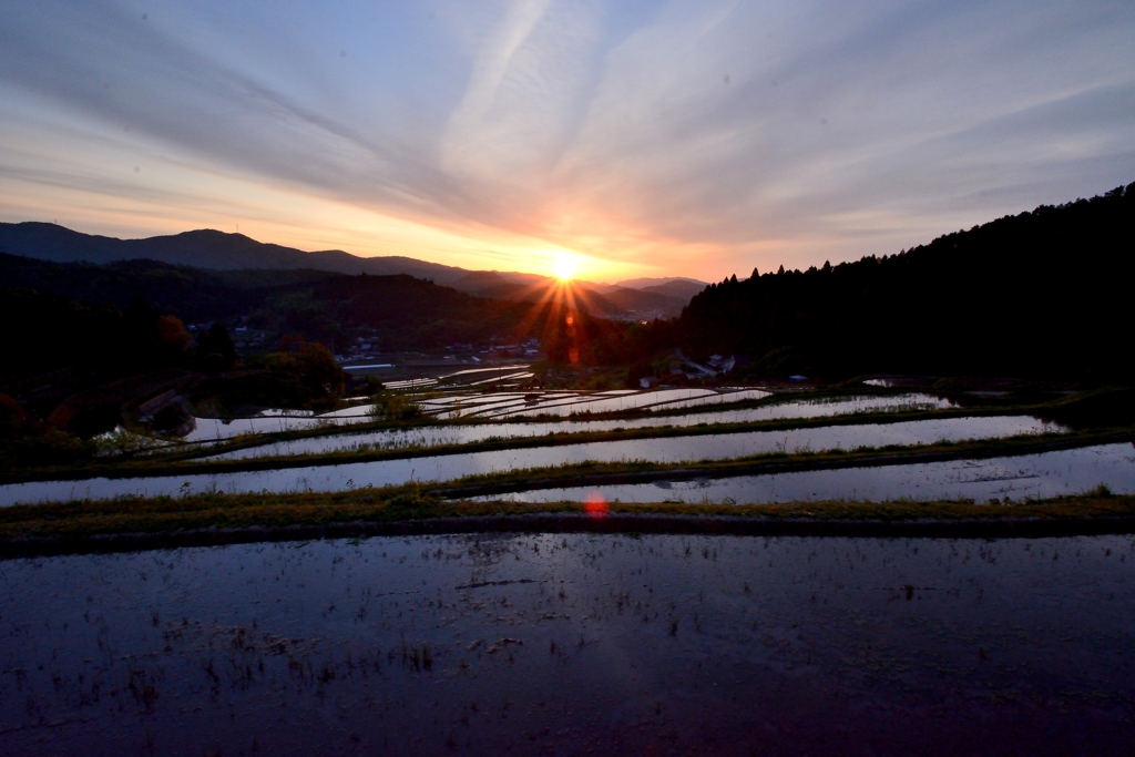 長谷の棚田2019 (3)