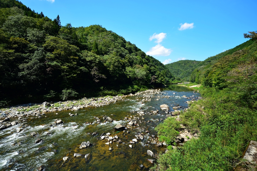 武田尾廃線敷 (3)