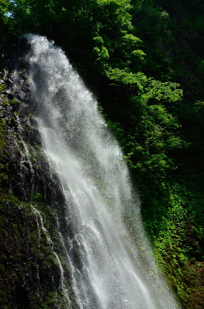 飛沫