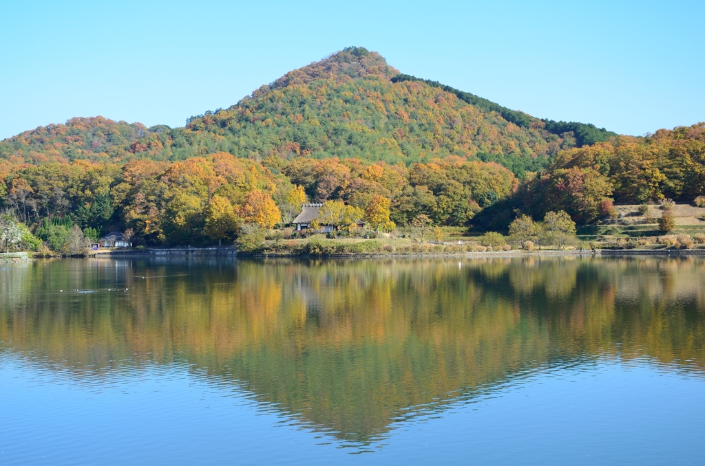 秋の有馬富士公園