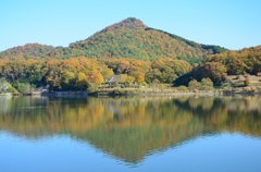 秋の有馬富士公園