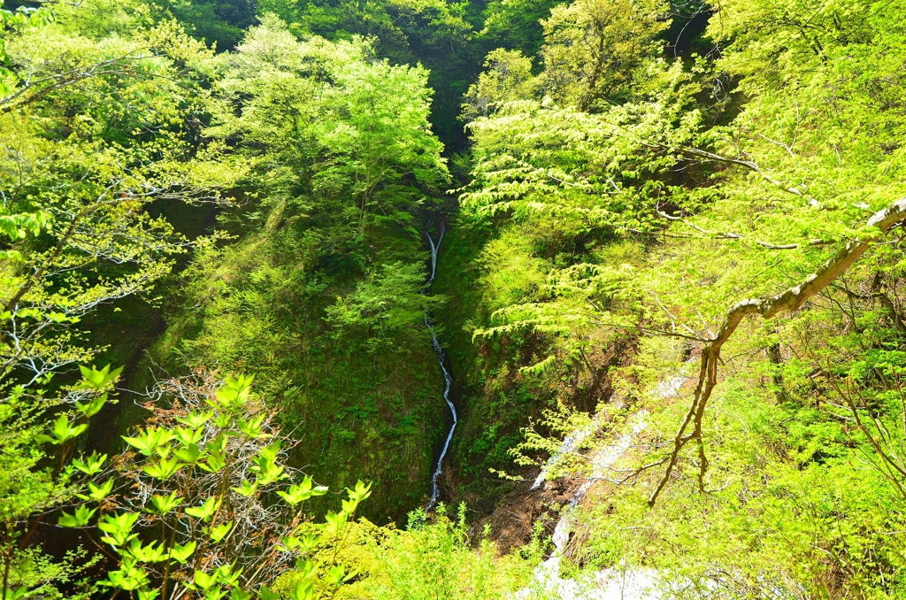 絹糸の滝