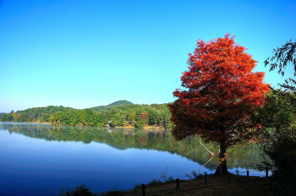千丈寺湖（2016初秋）