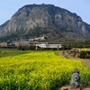 山房山