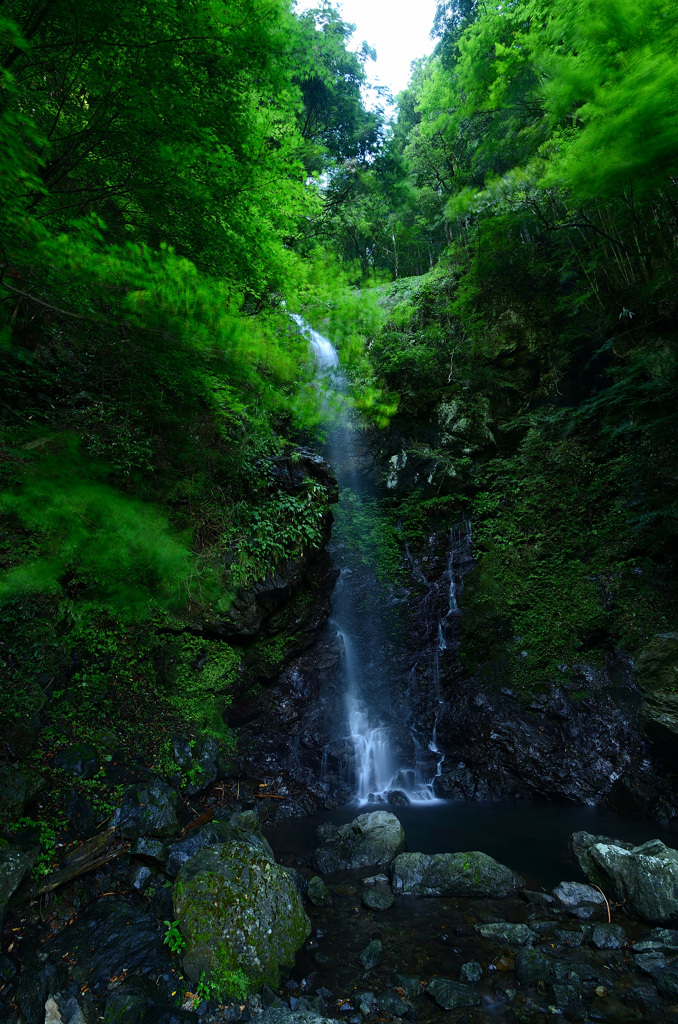 宮の滝（下段） (1)