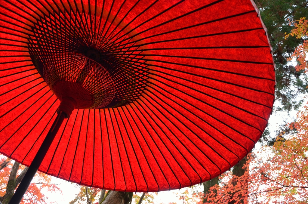 瑞宝寺公園2015