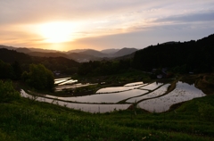 能勢町長谷の棚田 (1)