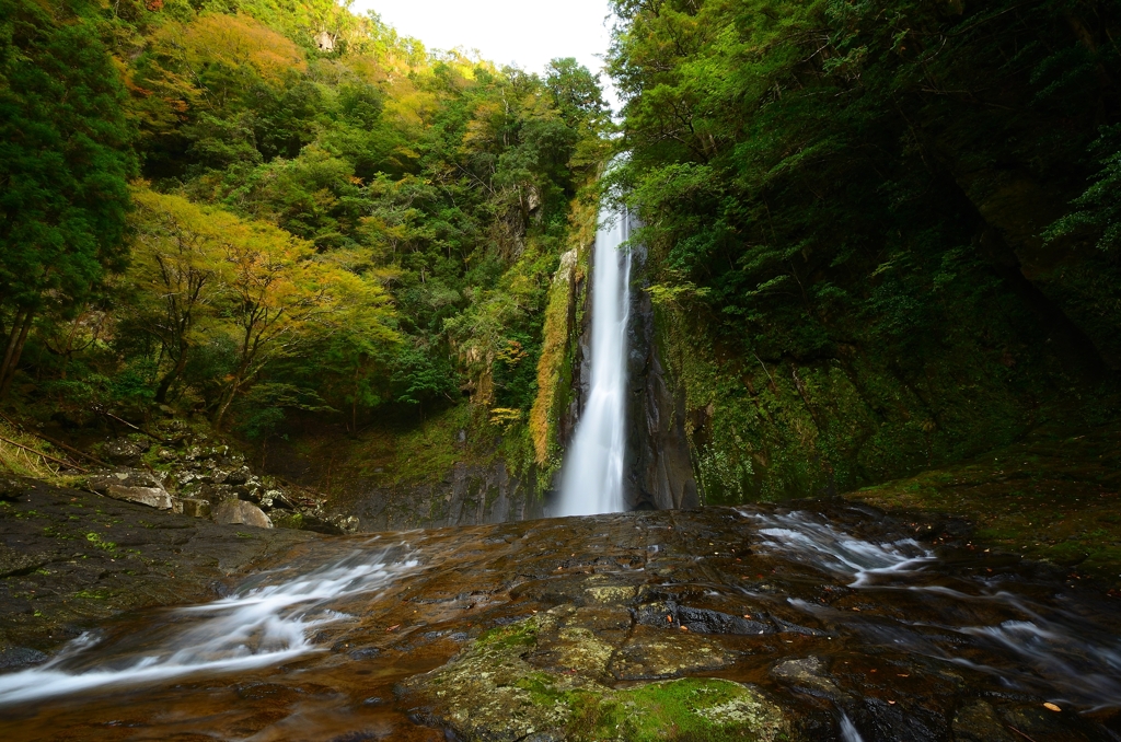 宝竜一の滝 (2)