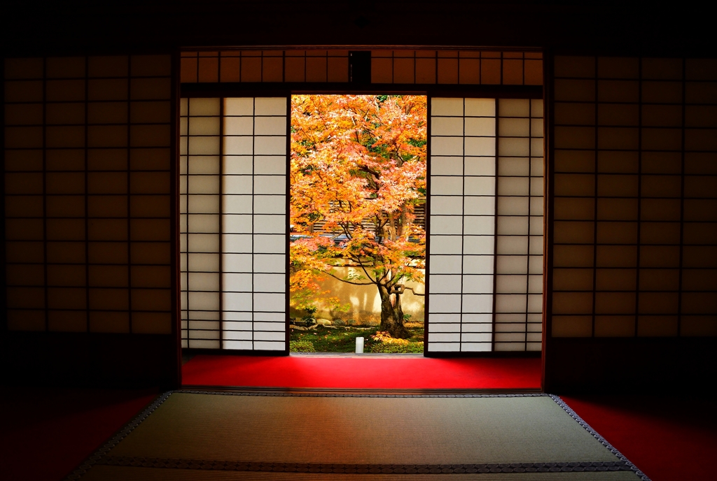 雲龍院2019秋 (9)