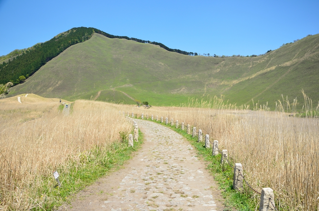 曽爾高原 (1)