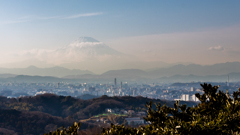 鎌倉から富士を望む！