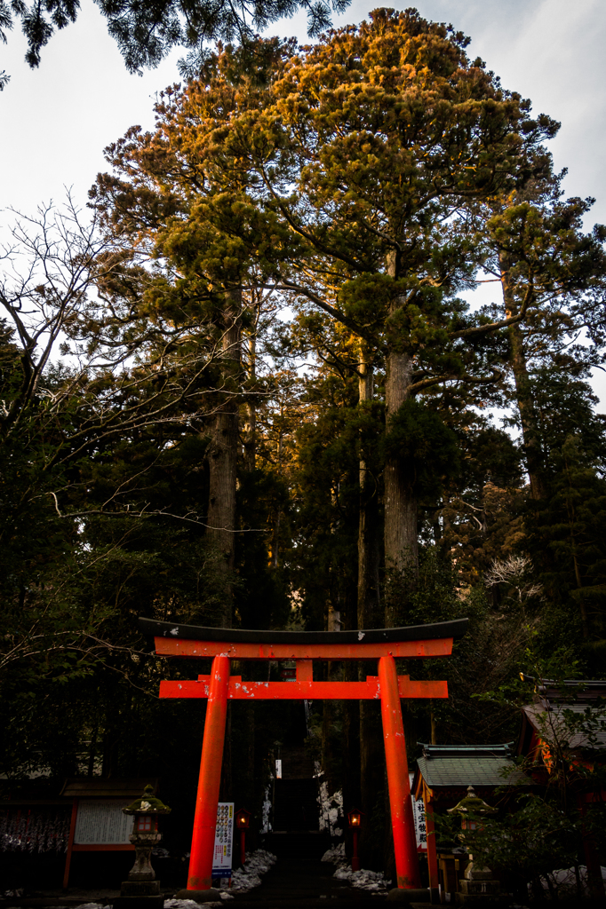 九頭竜神社