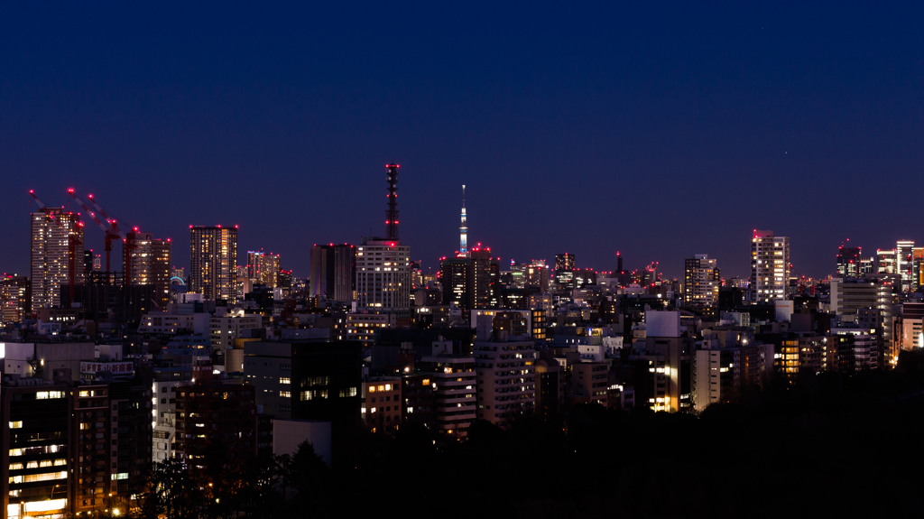 新宿の東