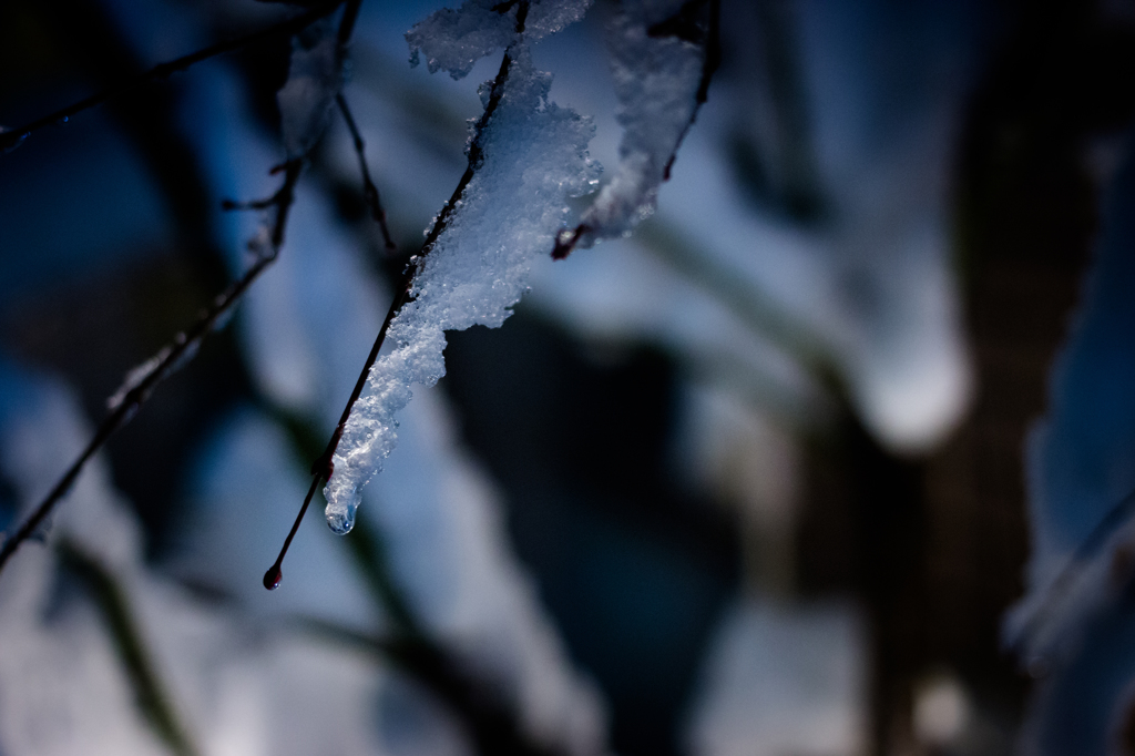 雪止んで