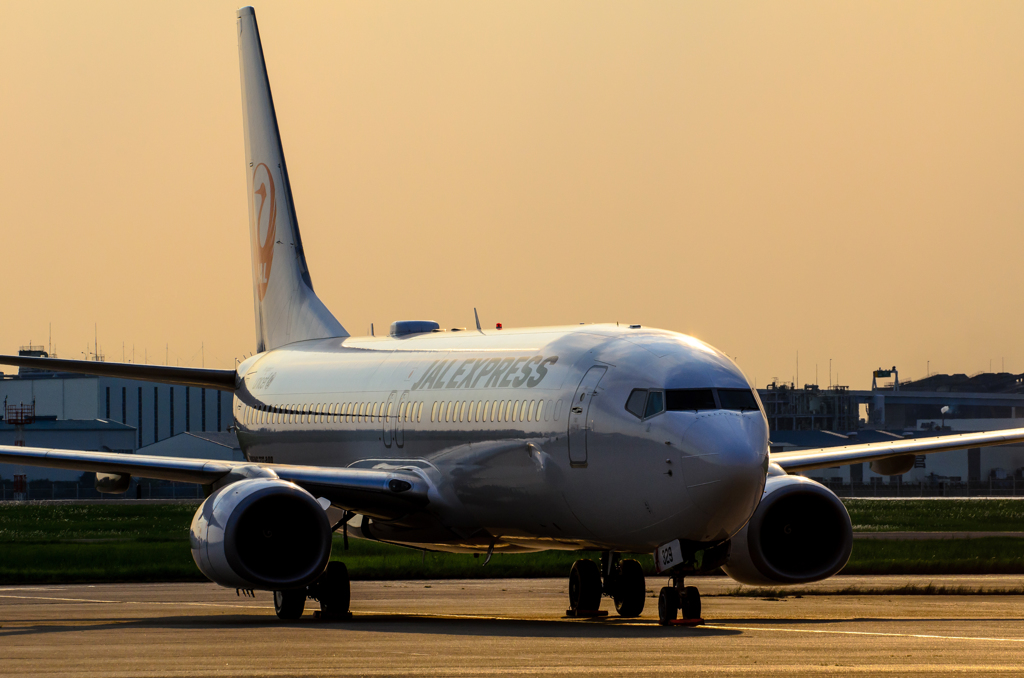 JAL B737