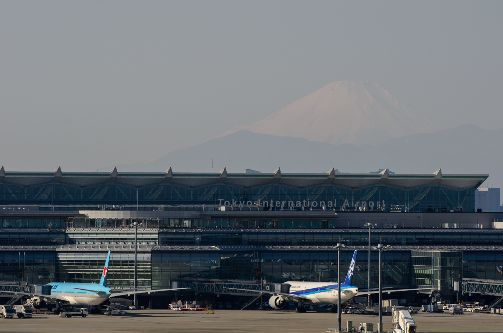 今日の富士山